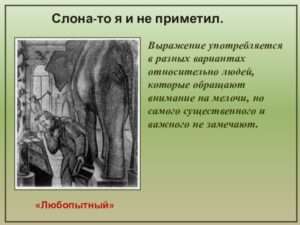Уроки, которые слон нам не заметил: истории и мудрость